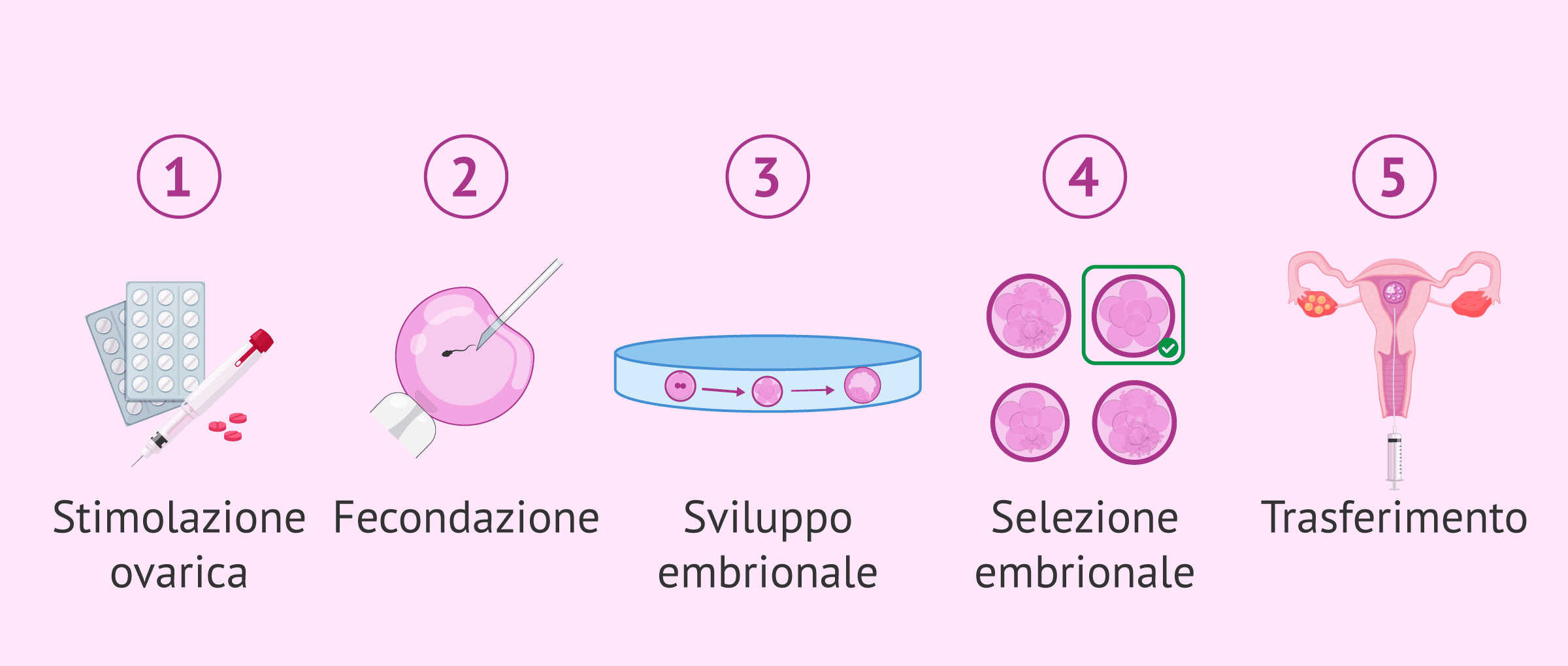 Imagen: Piastra con gocce IVF