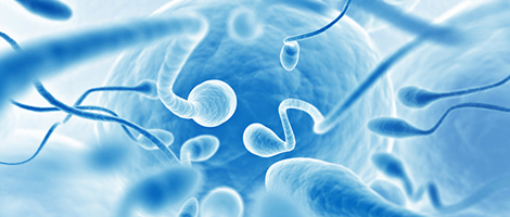 Qualità degli spermatozoi