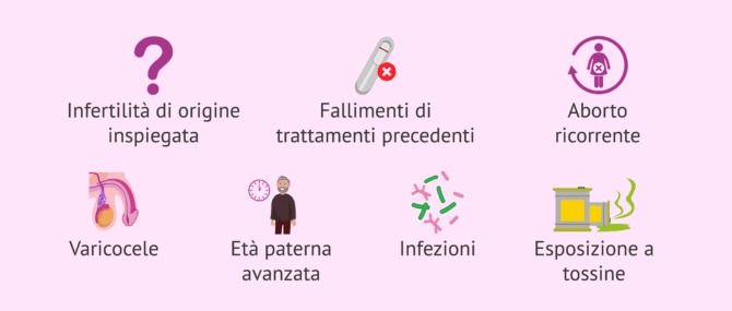 Imagen: Quando misurare la frammentazione del DNA spermatico?