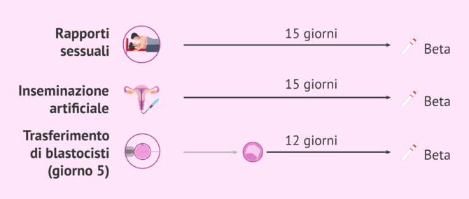 Imagen: Quando fare un test di gravidanza?