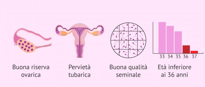 Imagen: Requisiti per l'inseminazione artificiale (AI)