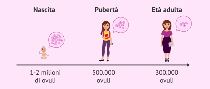 Imagen: Riserva ovarica alla nascita, durante la pubertà e in età adulta