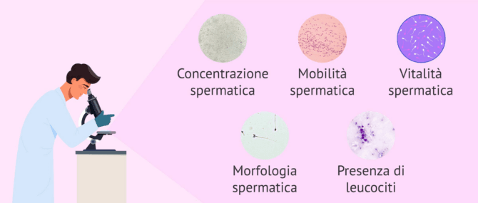 Imagen: Parametri microscopici dello spermiogramma