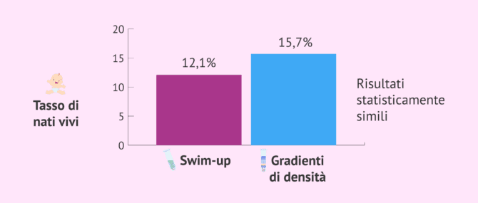 Imagen: Risultati con swim-up e con gradienti di densità