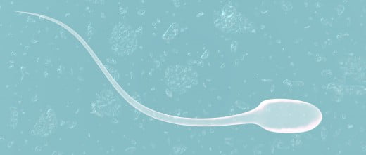 seme di buona qualità