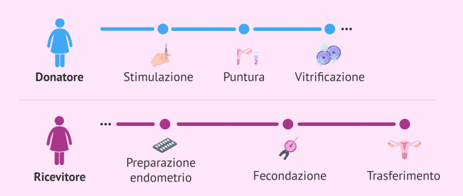 Imagen: Donazione di ovuli vitrificati