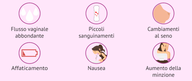 Imagen: Sintomi frequenti dopo un trasferimento embrionale