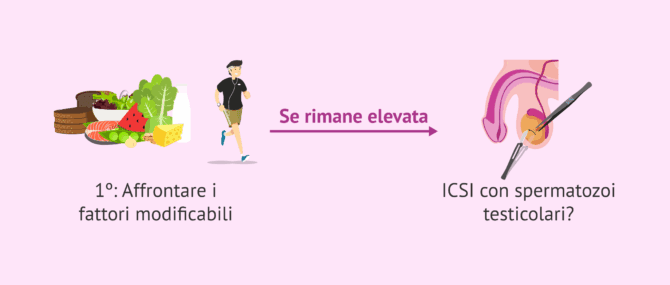 Imagen: Gestione della frammentazione del DNA spermatico