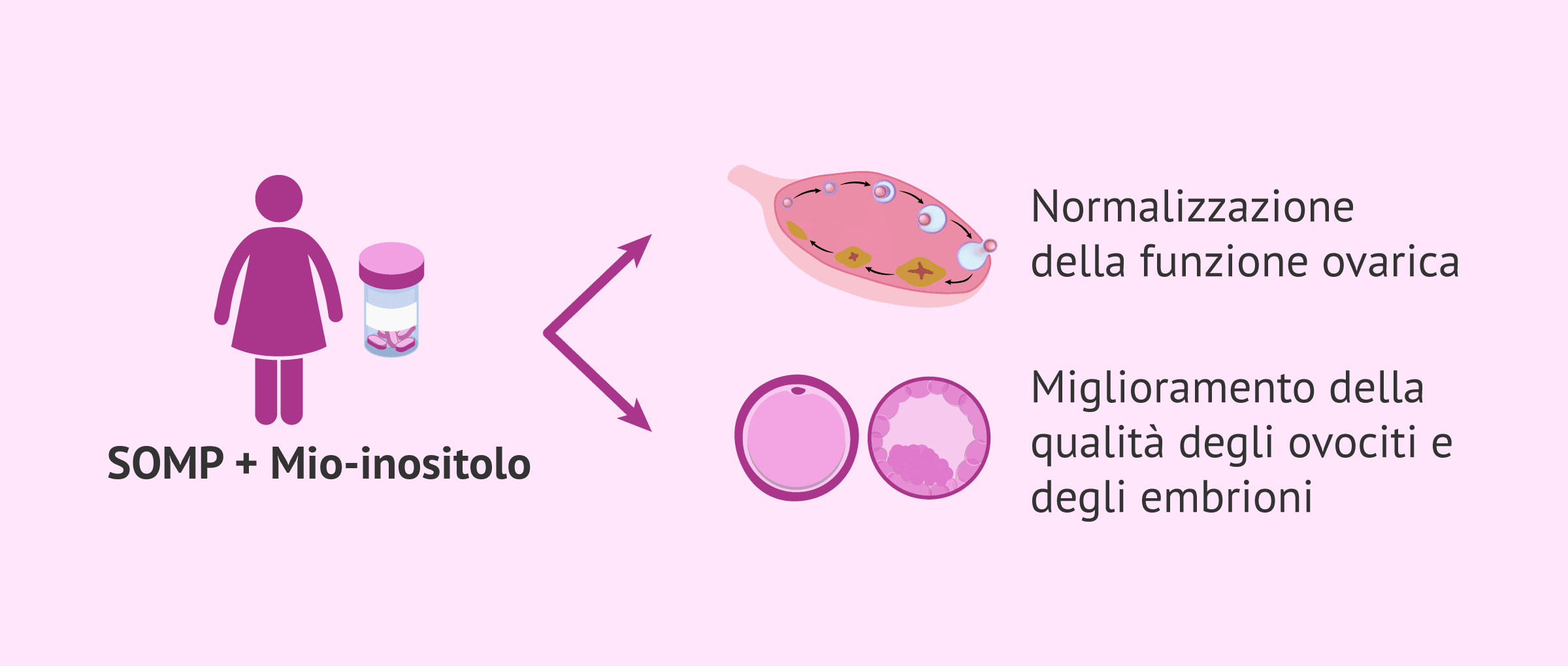 Integratori nella FIVET: il pericolo di assumerli senza controllo