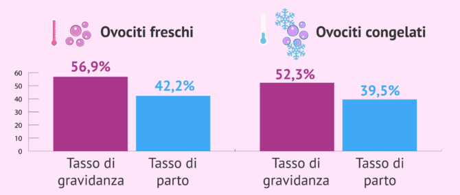 Imagen: Statistiche sulla donazione di ovuli freschi e congelati