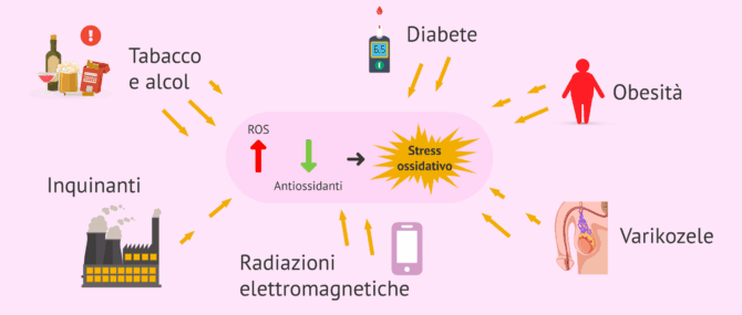 Imagen: Fattori che portano all'aumento dei ROS