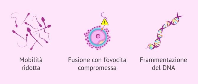 Imagen: Danni dello stress ossidativo agli spermatozoi