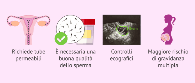 Imagen: Quali inconvenienti ha l'inseminazione artificiale?