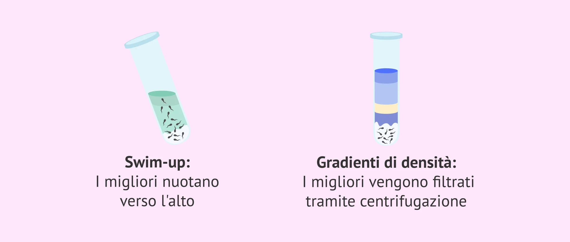 Preparazione del liquido seminale: la scienza sfata una falsa credenza sul successo