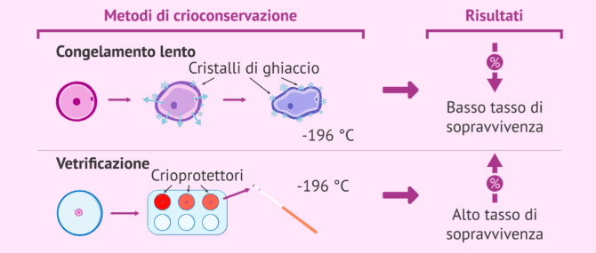 Imagen: Tasso di sopravvivenza ovocitaria secondo il metodo di crioconservazione