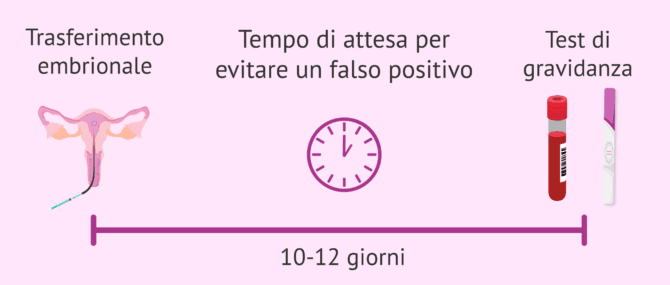 Imagen: Quando e come sapere se c'è una gravidanza dopo il trasferimento embrionale