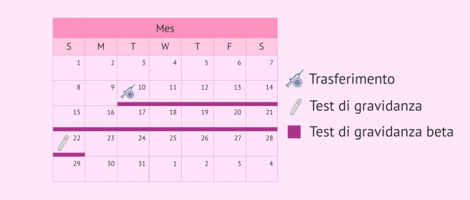 Imagen: Test di gravidanza dopo FIVET-ICSI