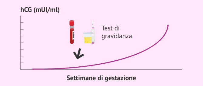 Imagen: Tempo di attesa per eseguire un test di gravidanza