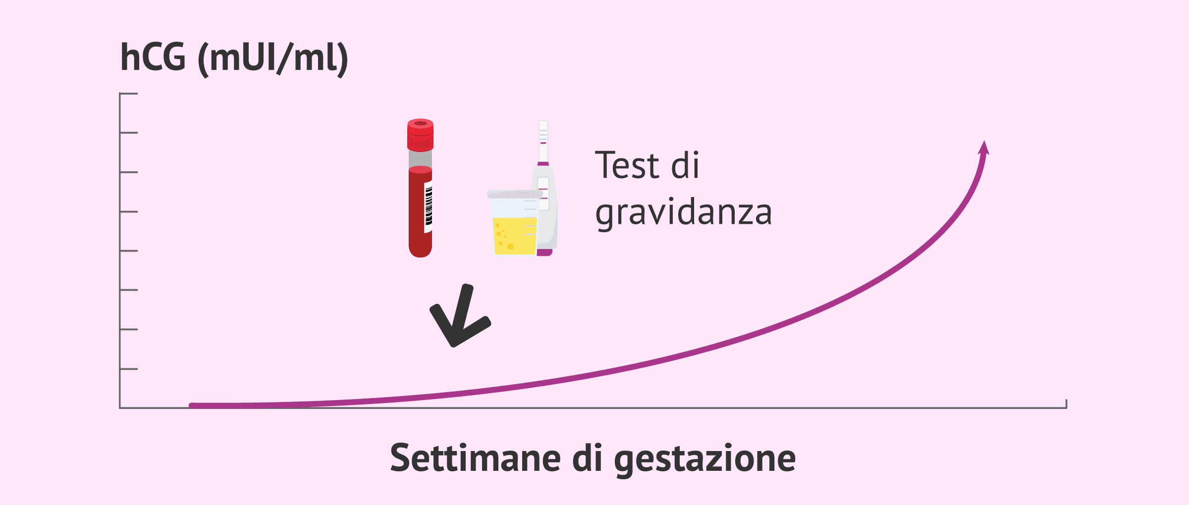 I test di gravidanza possono sbagliare? Falsi positivi e negativi