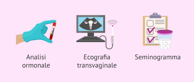 Imagen: Studio della fertilità della coppia