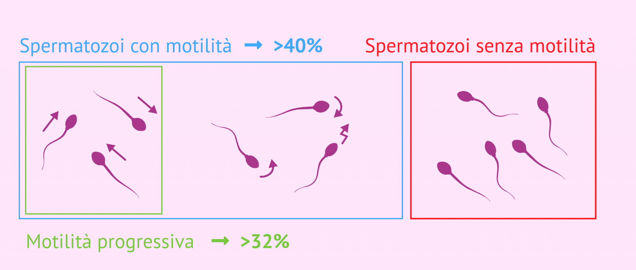 Motility Range Chart