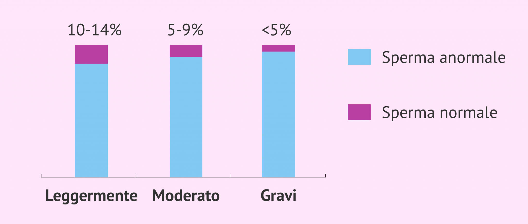 Cos'è la teratozoospermia? - Cause, tipi e trattamenti
