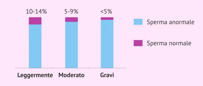 Imagen: Tipi di teratozoospermia