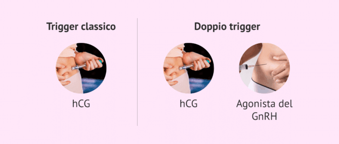 Imagen: È meglio il doppio trigger nella fecondazione assistita?