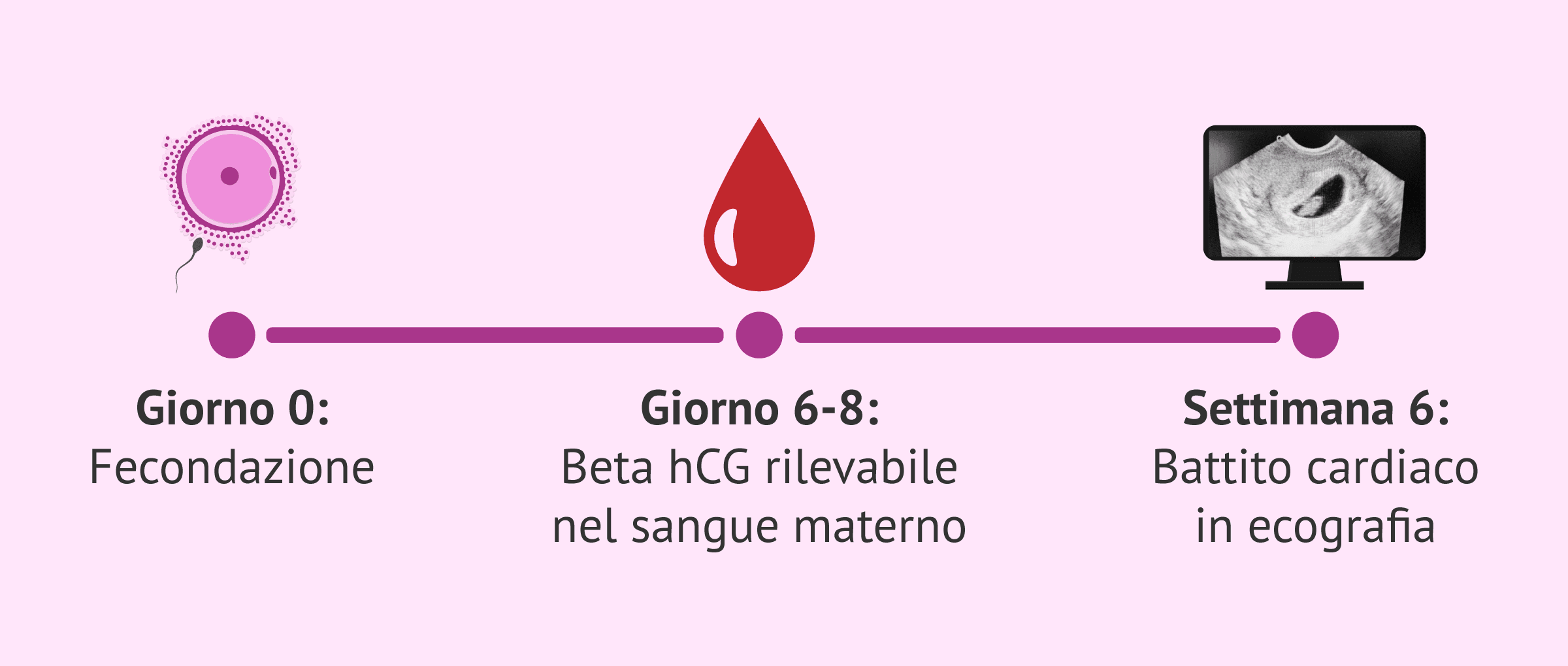L'incredibile dato della beta hCG che definisce il successo della gravidanza