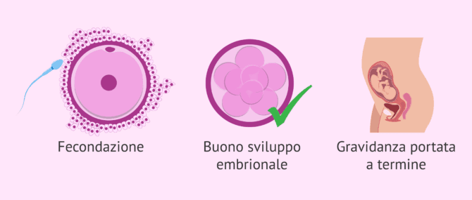 Imagen: In che modo può influire l'astinenza sessuale?