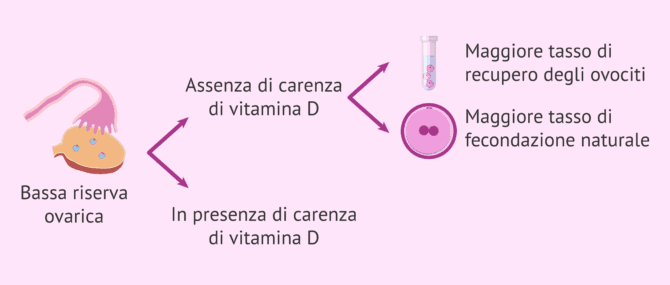 Imagen: Risultati della FIVET con bassa riserva ovarica e carenza di vitamina D