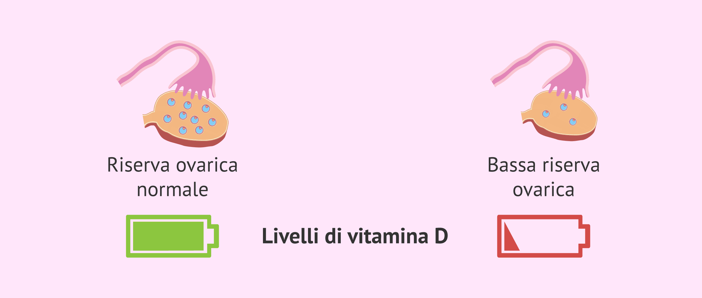 Vitamina D: il segreto inaspettato per la tua bassa riserva ovarica