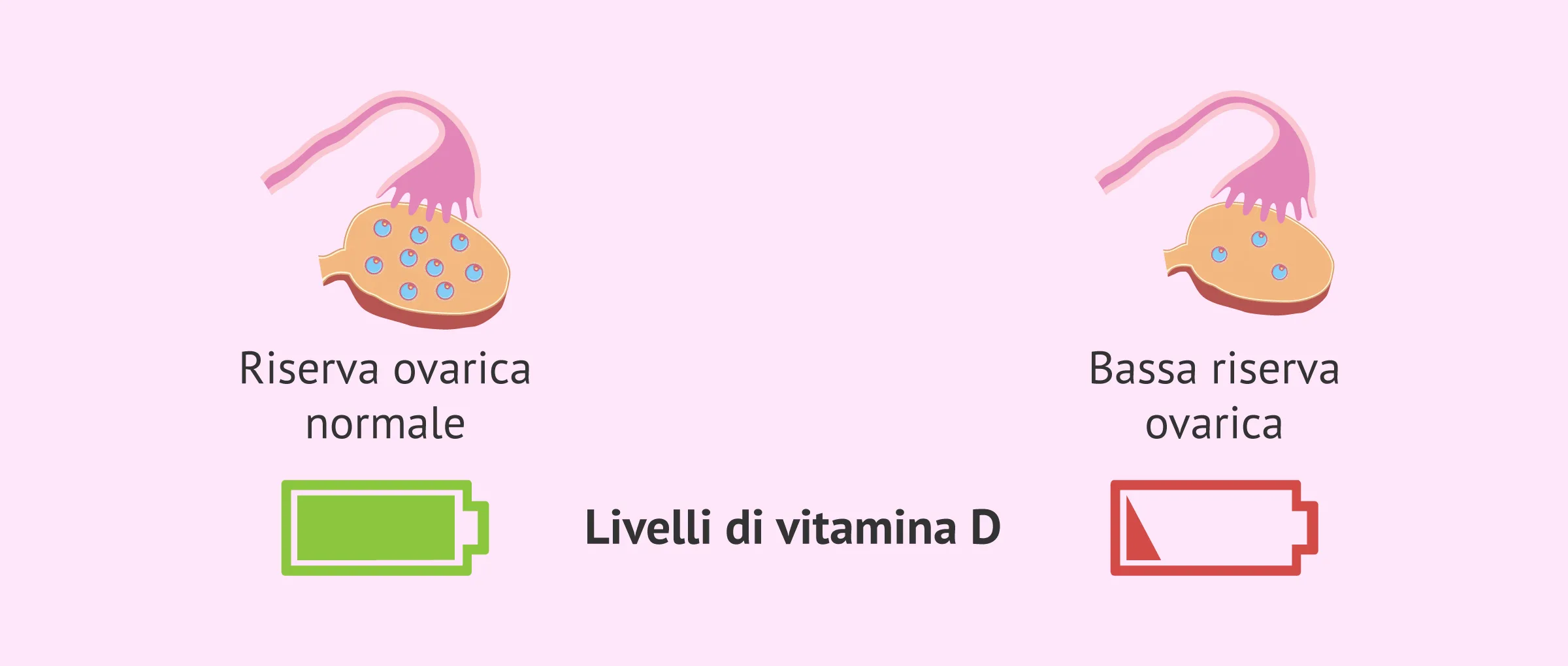 Vitamina D: il segreto inaspettato per la tua bassa riserva ovarica